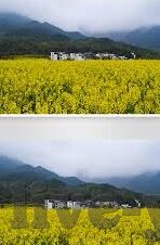 国产麻豆剧传媒av国产电影-探讨国产麻豆剧传媒及其对国产电影文化的影响